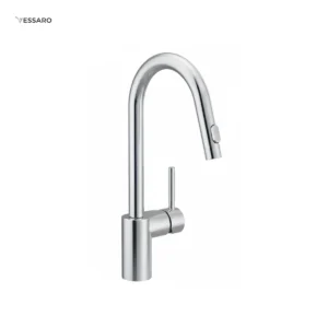 VESSARO Modern Fixed Kitchen Faucet